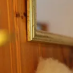 Mynest
